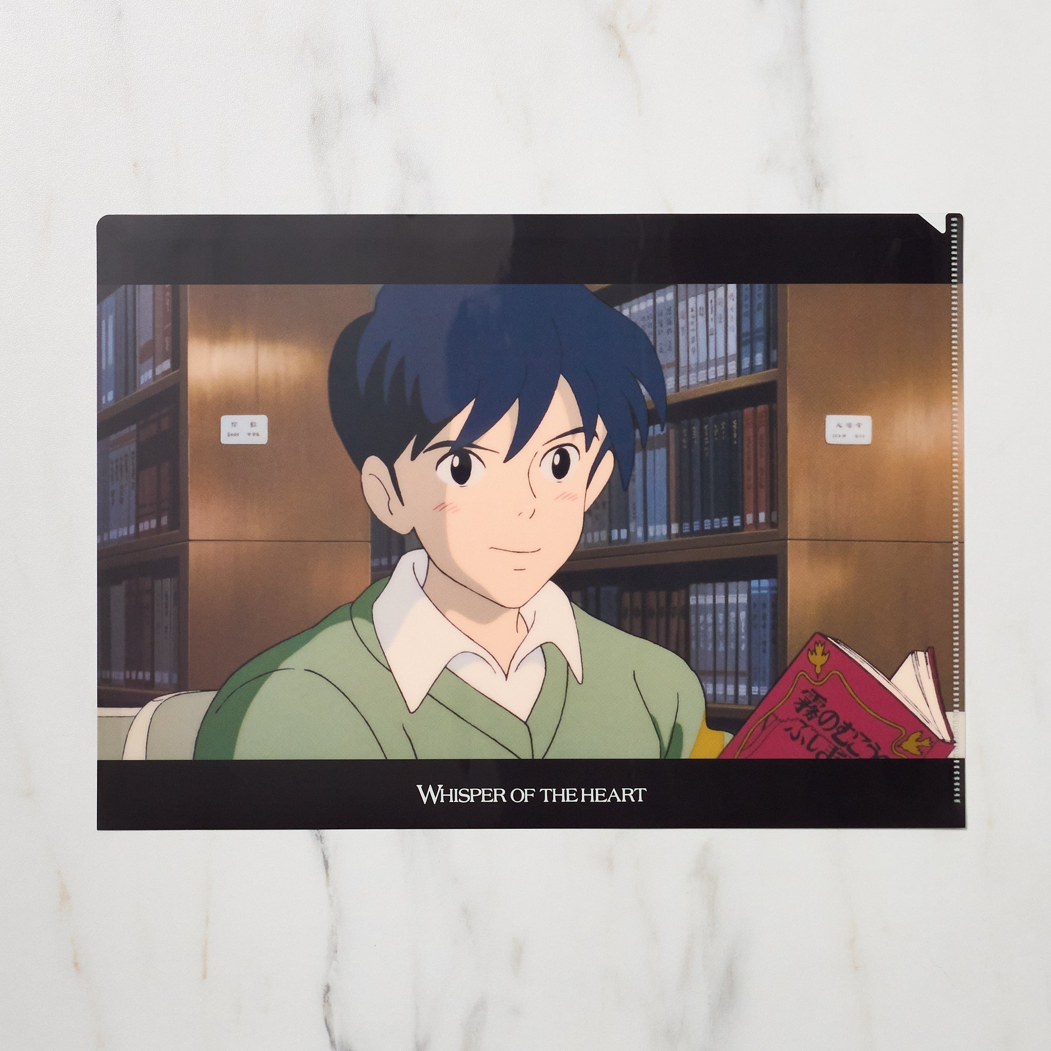 Studio Ghibli "Whisper of the Heart" Scenes A4 Clear File Folder / Movic