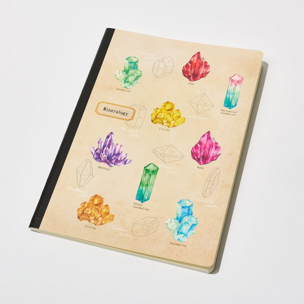 Mineralogy STUDY HOLIC Bundle / GreenFlash