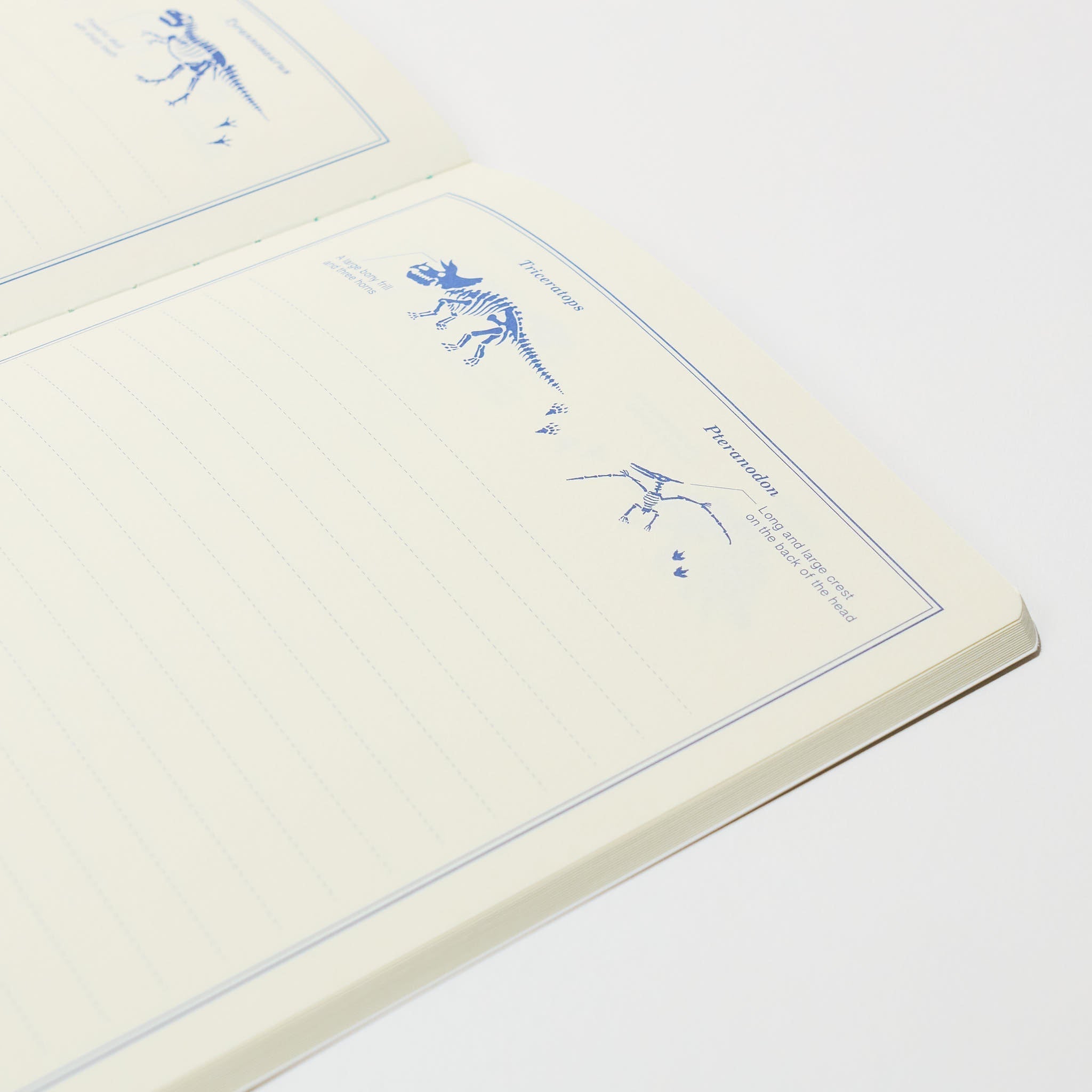 STUDY HOLIC A5 Notebook / GreenFlash