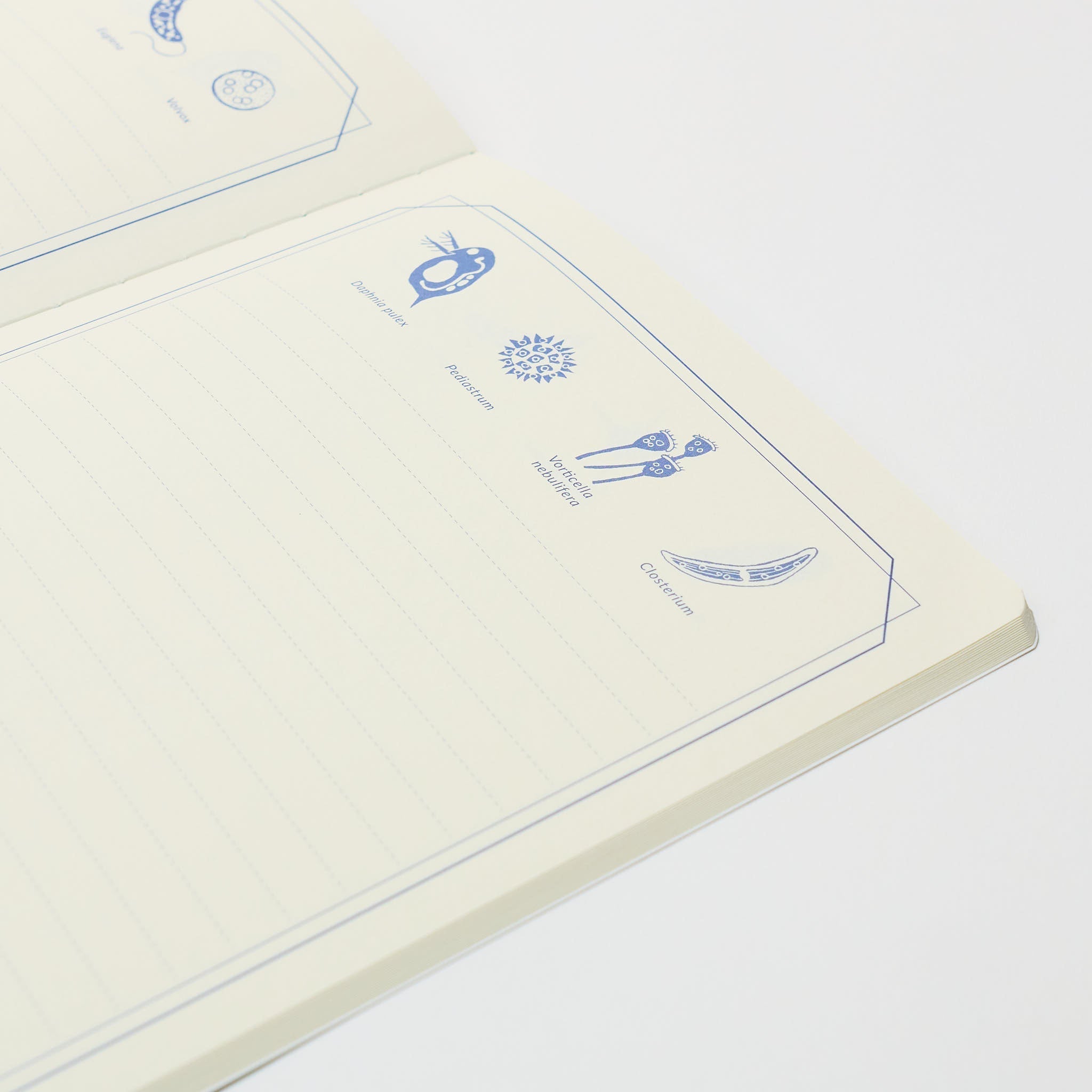 STUDY HOLIC A5 Notebook / GreenFlash