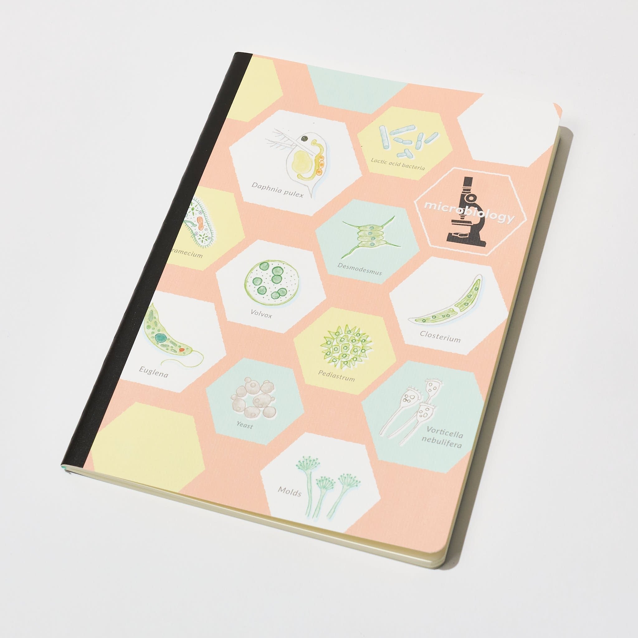 STUDY HOLIC A5 Notebook / GreenFlash