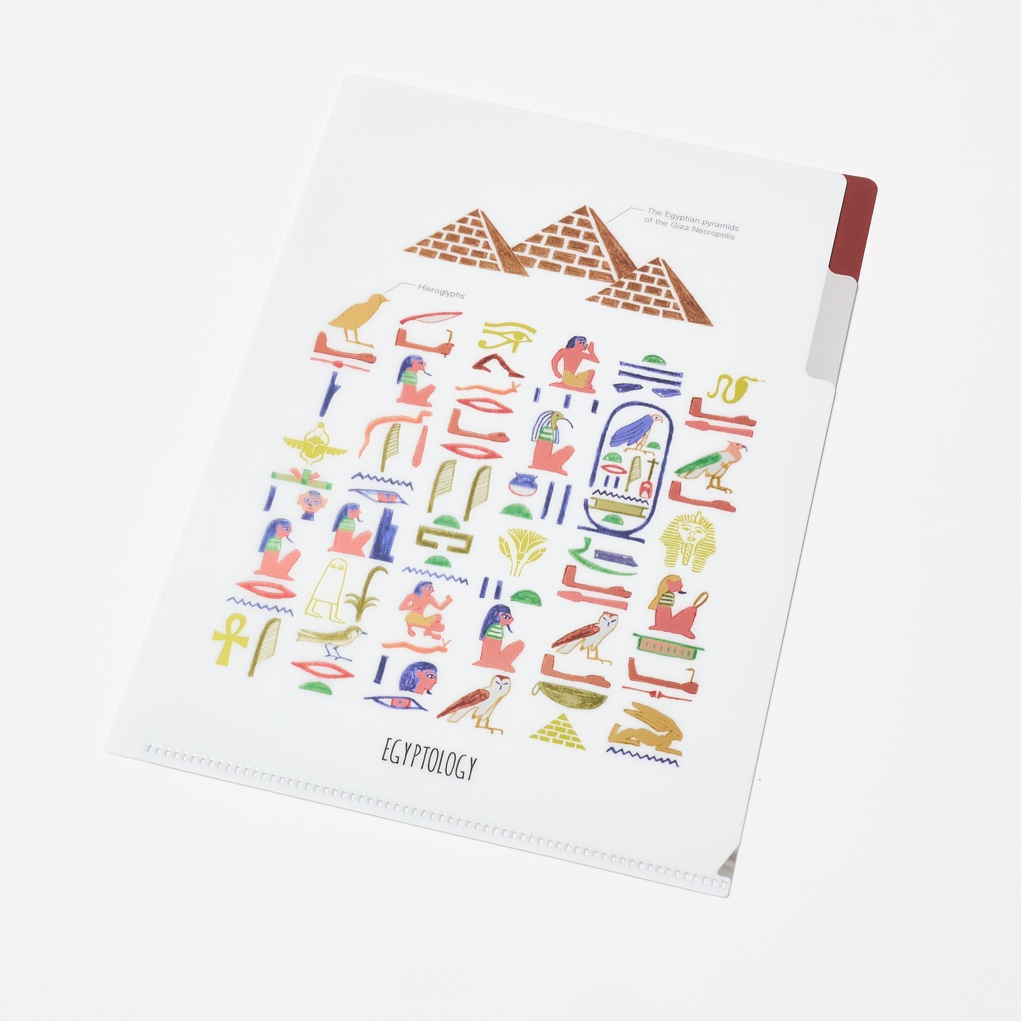 STUDY HOLIC A5 Pocket Clear File Folder / GreenFlash