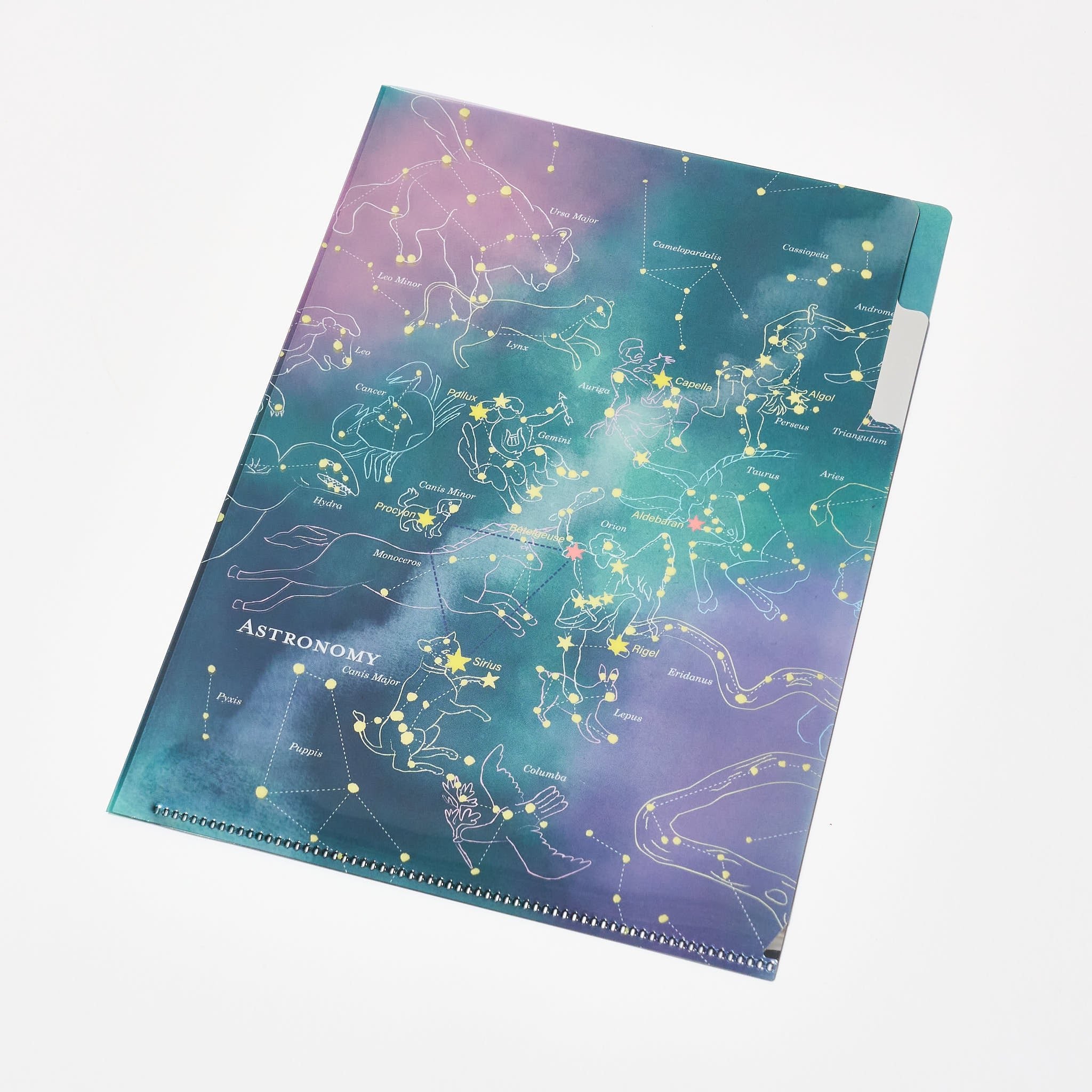 STUDY HOLIC A5 Pocket Clear File Folder / GreenFlash