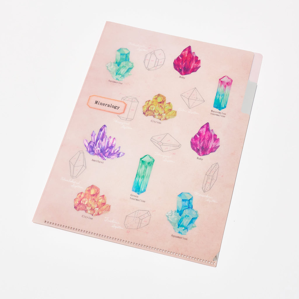 Mineralogy STUDY HOLIC Bundle / GreenFlash