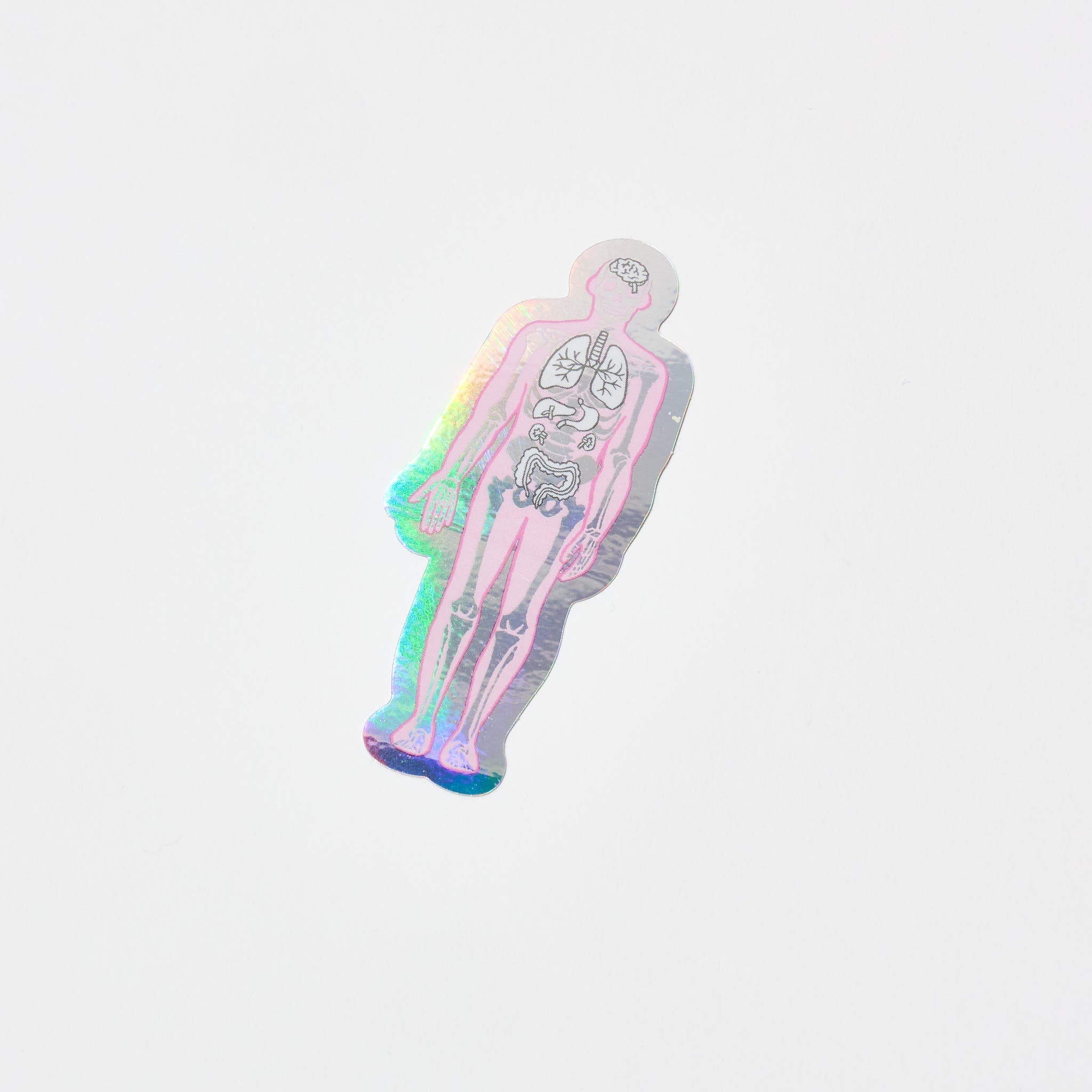 STUDY HOLIC Aurora Sticker / GreenFlash