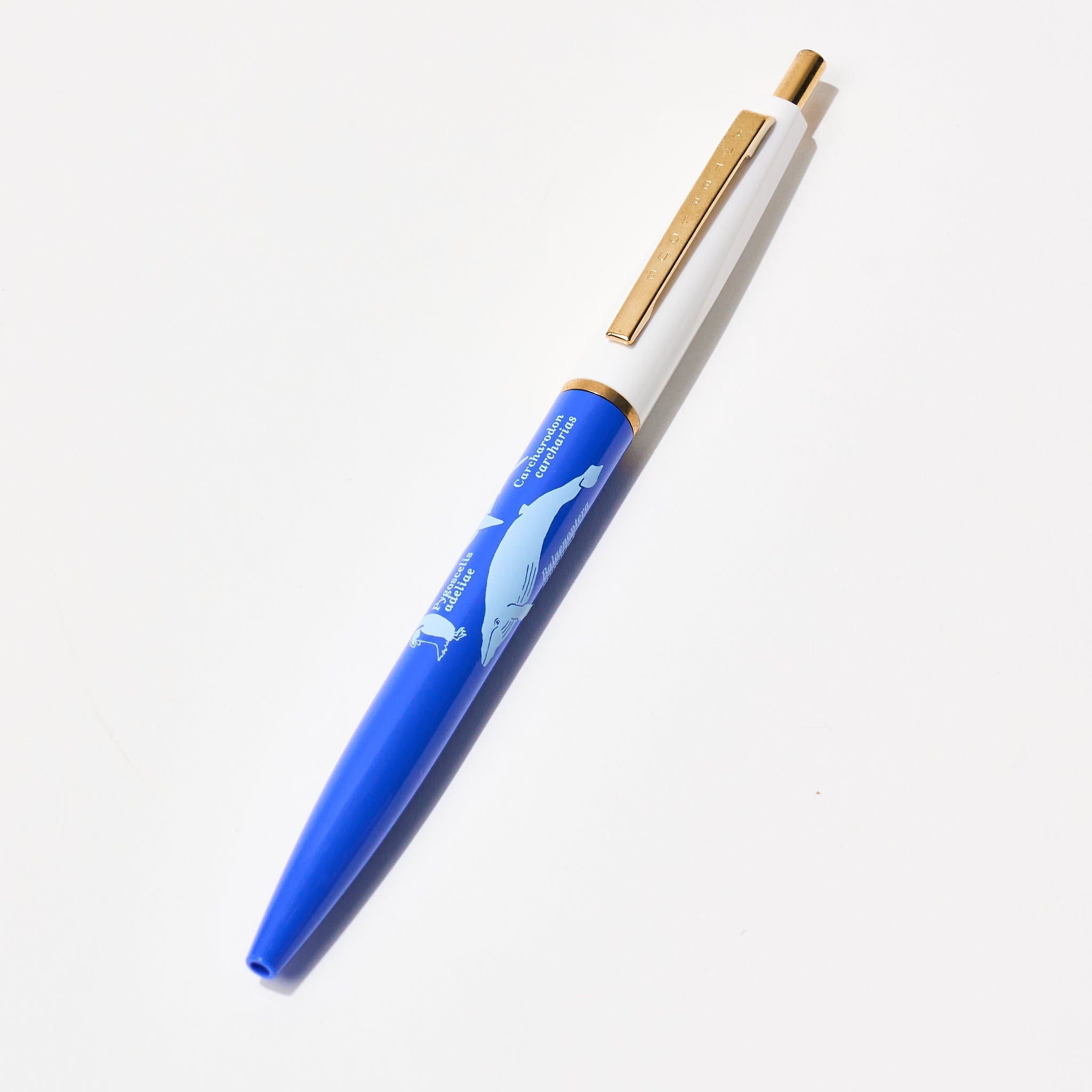 STUDY HOLIC Ballpoint Pen / GreenFlash