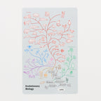 Evolutionary Biology STUDY HOLIC Bundle / GreenFlash