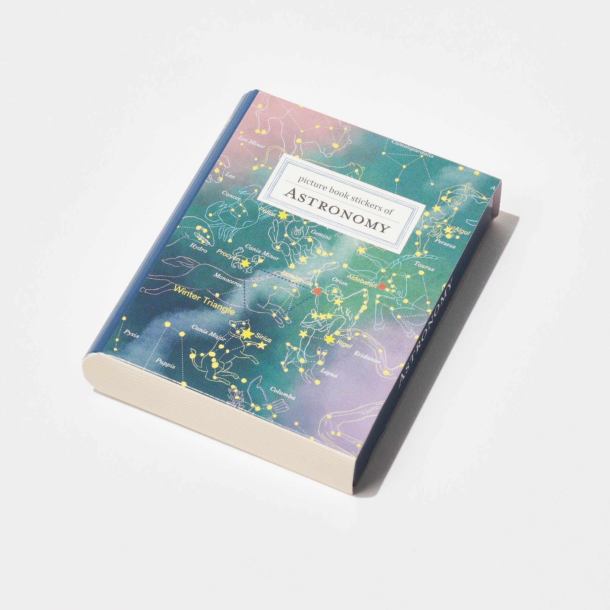 STUDY HOLIC Flake Stickers with Encyclopedia Case / GreenFlash