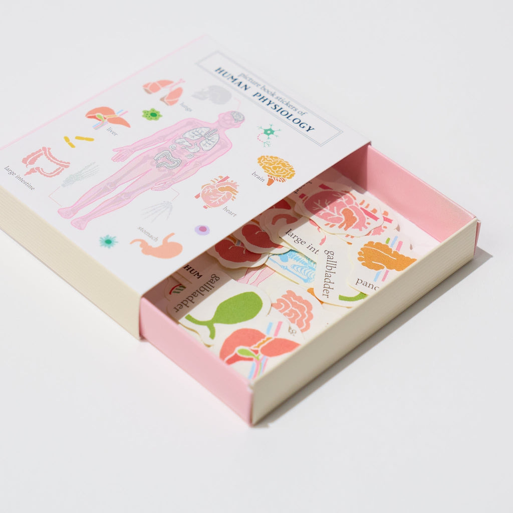 STUDY HOLIC Flake Stickers with Encyclopedia Case / GreenFlash