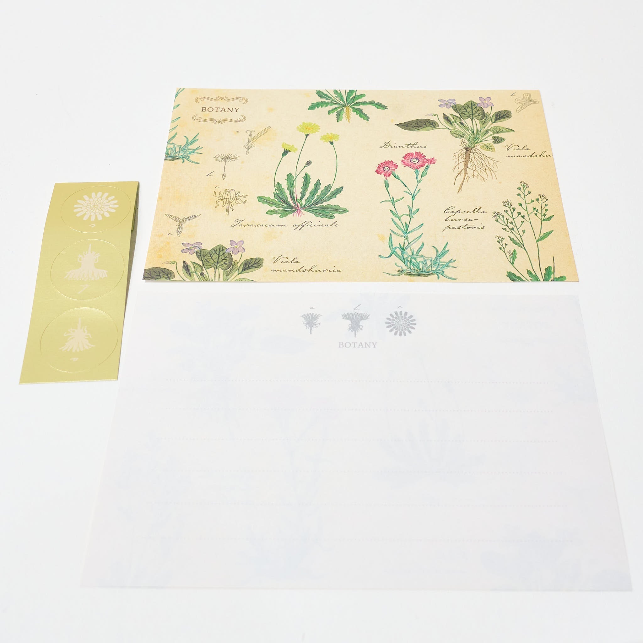 STUDY HOLIC Letter Set / GreenFlash