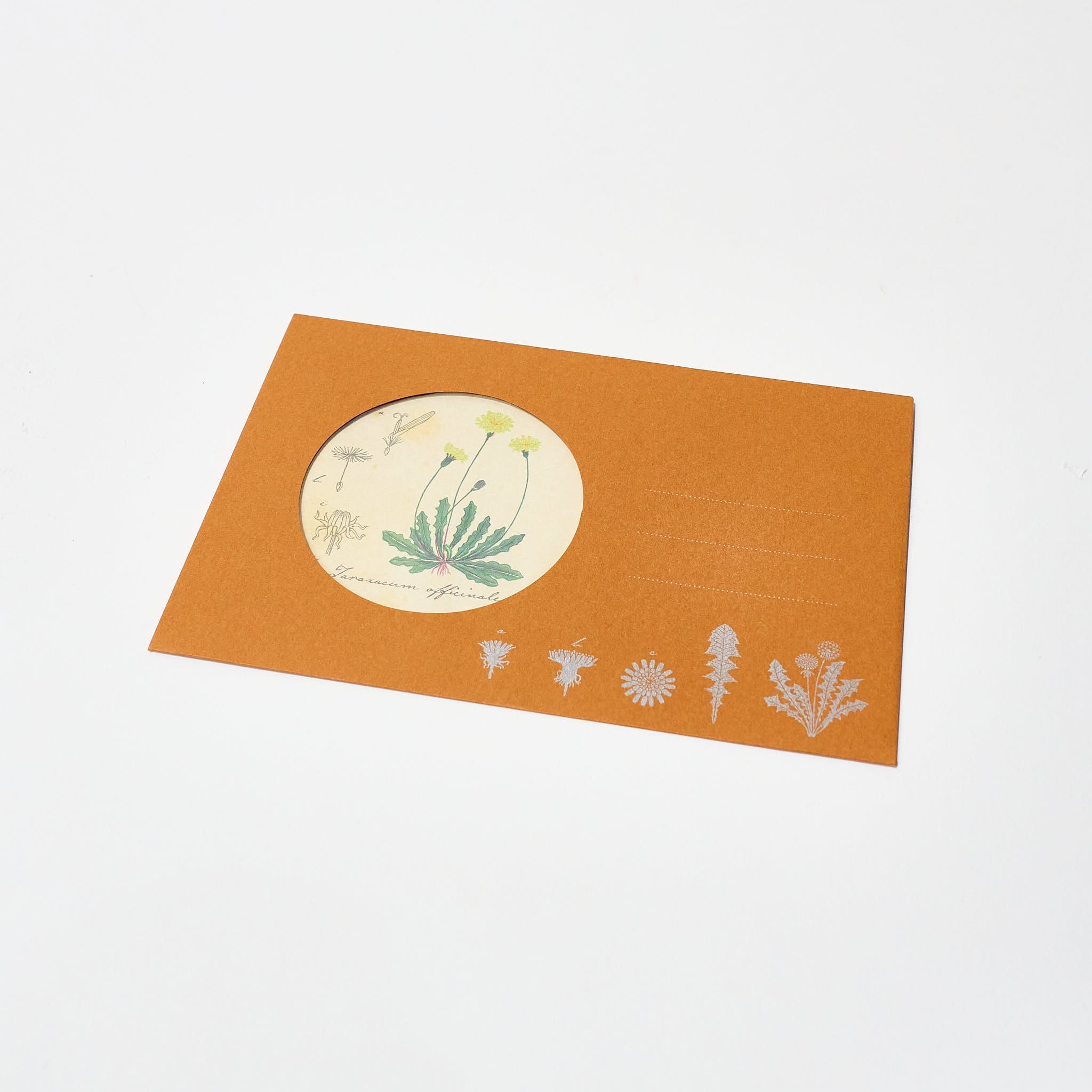 STUDY HOLIC Letter Set / GreenFlash