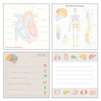 STUDY HOLIC Memo Pad Square / GreenFlash