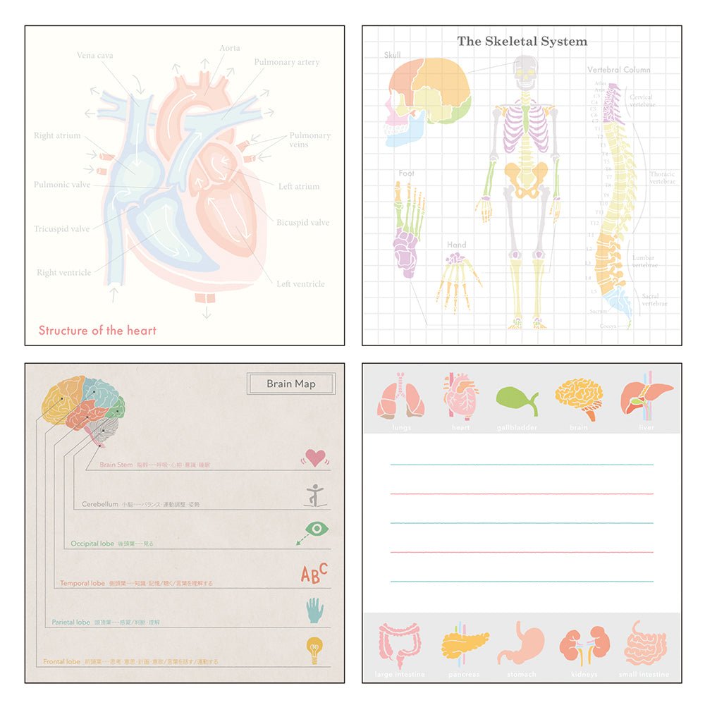 STUDY HOLIC Memo Pad Square / GreenFlash