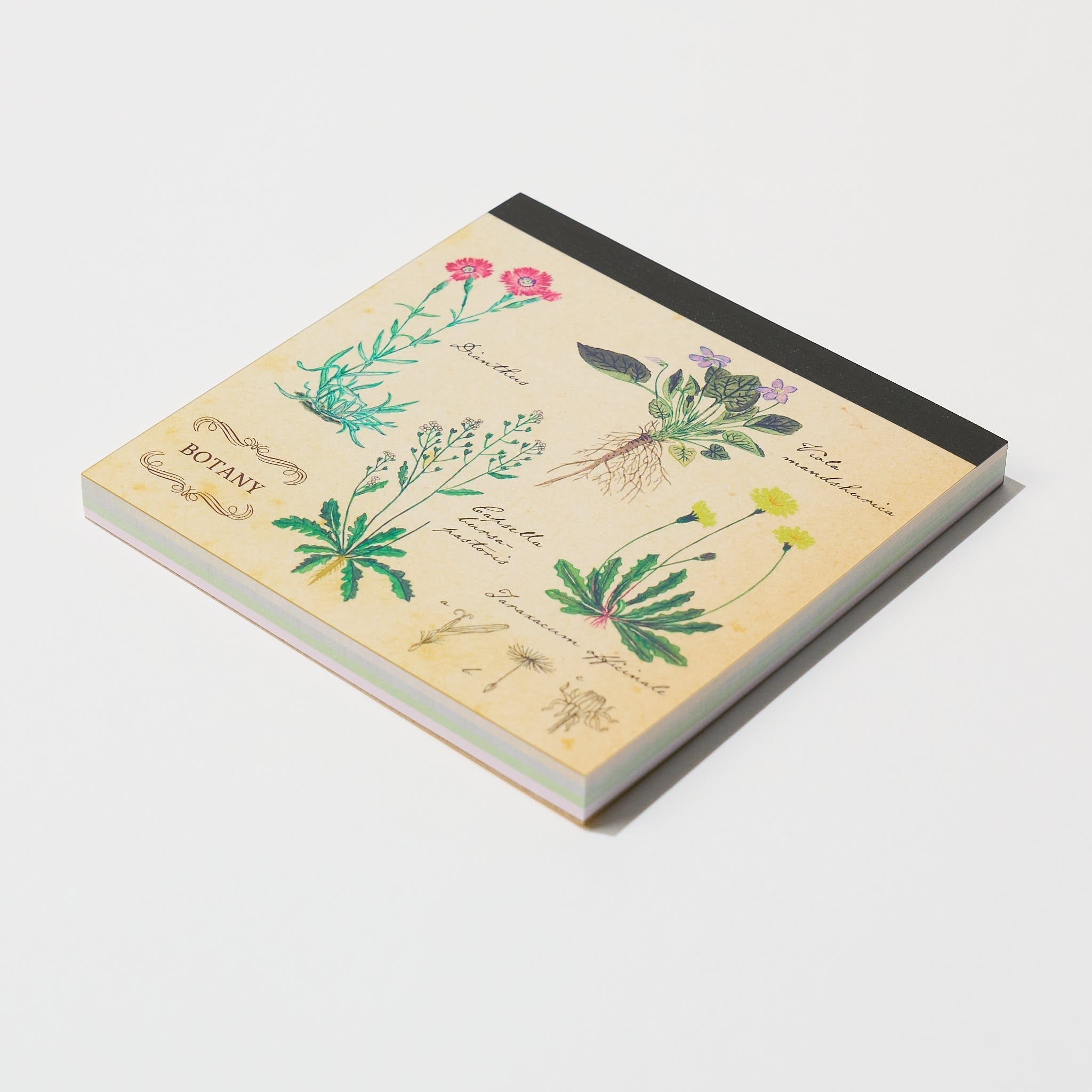 STUDY HOLIC Memo Pad Square / GreenFlash