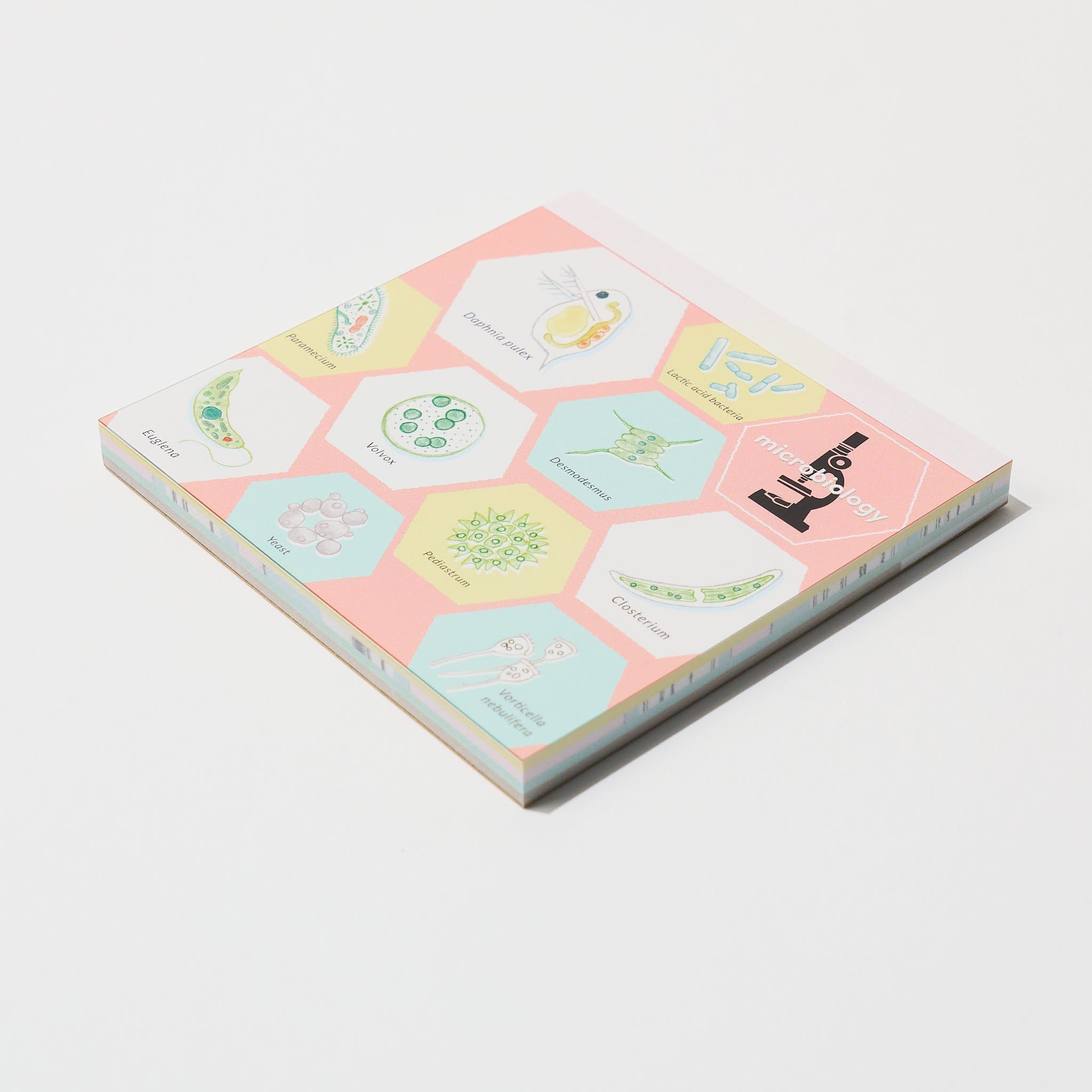 STUDY HOLIC Memo Pad Square / GreenFlash