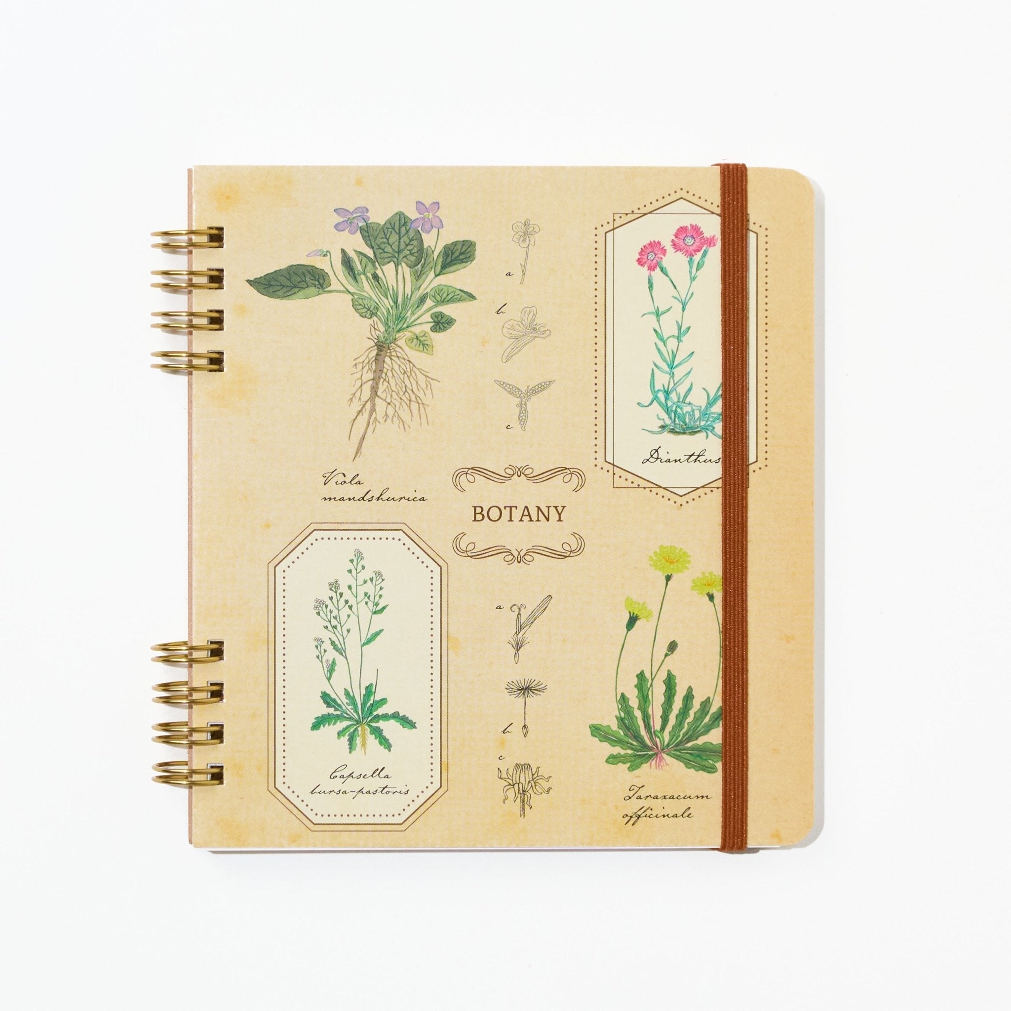 STUDY HOLIC Ring Notebook Square / GreenFlash
