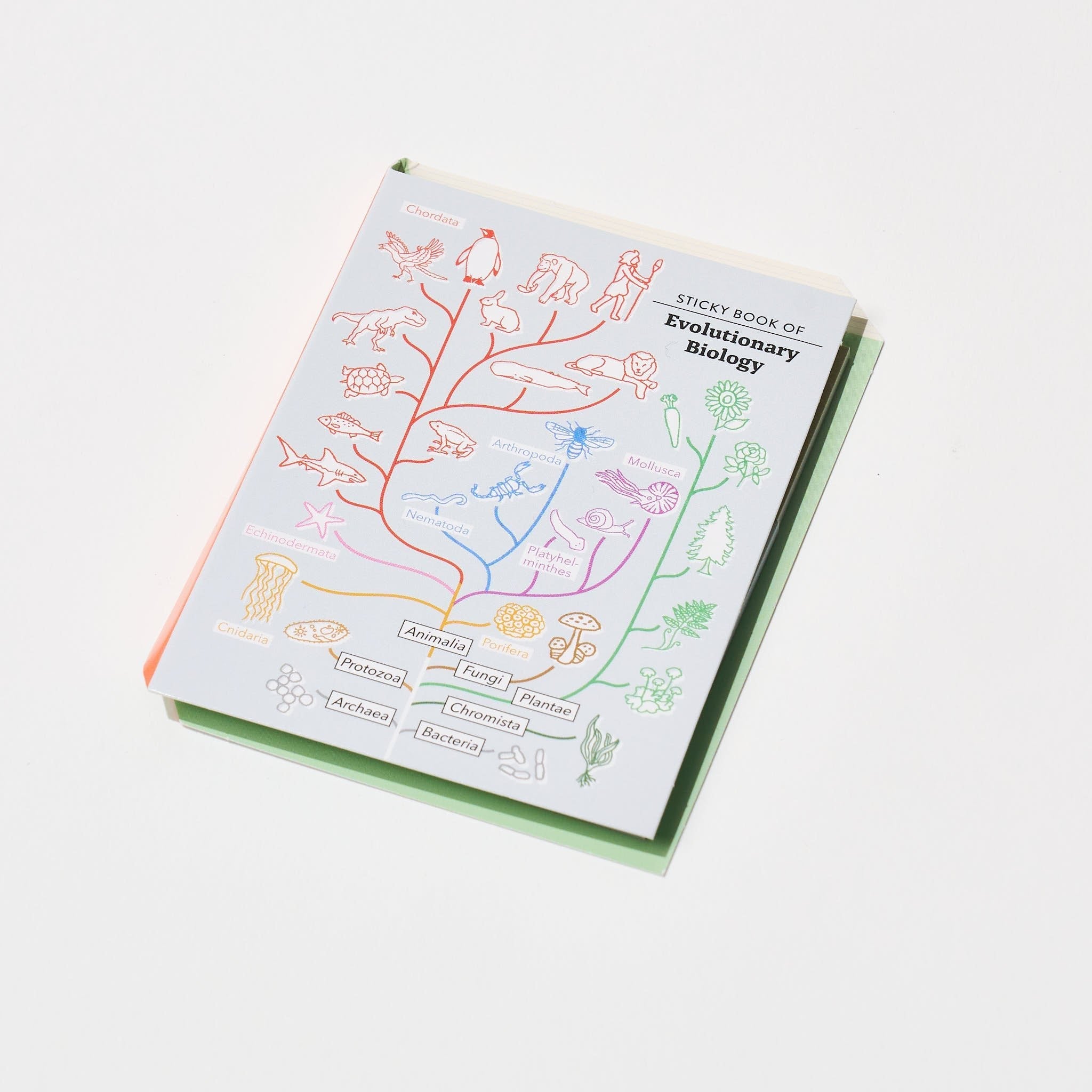 STUDY HOLIC Sticky Note Book / GreenFlash