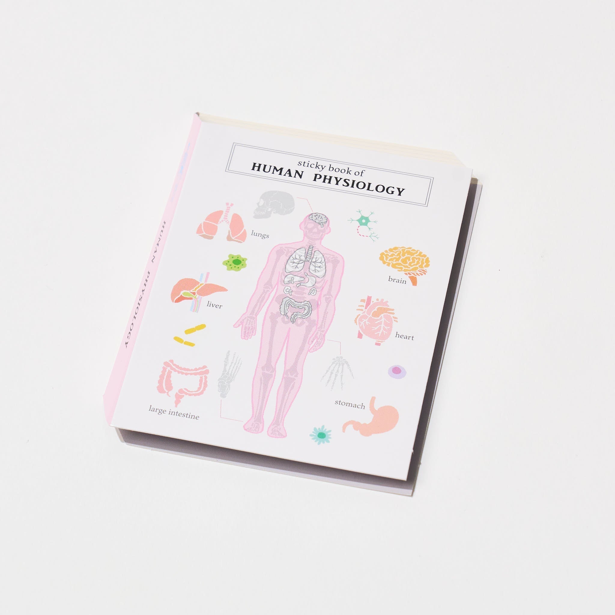 STUDY HOLIC Sticky Note Book / GreenFlash