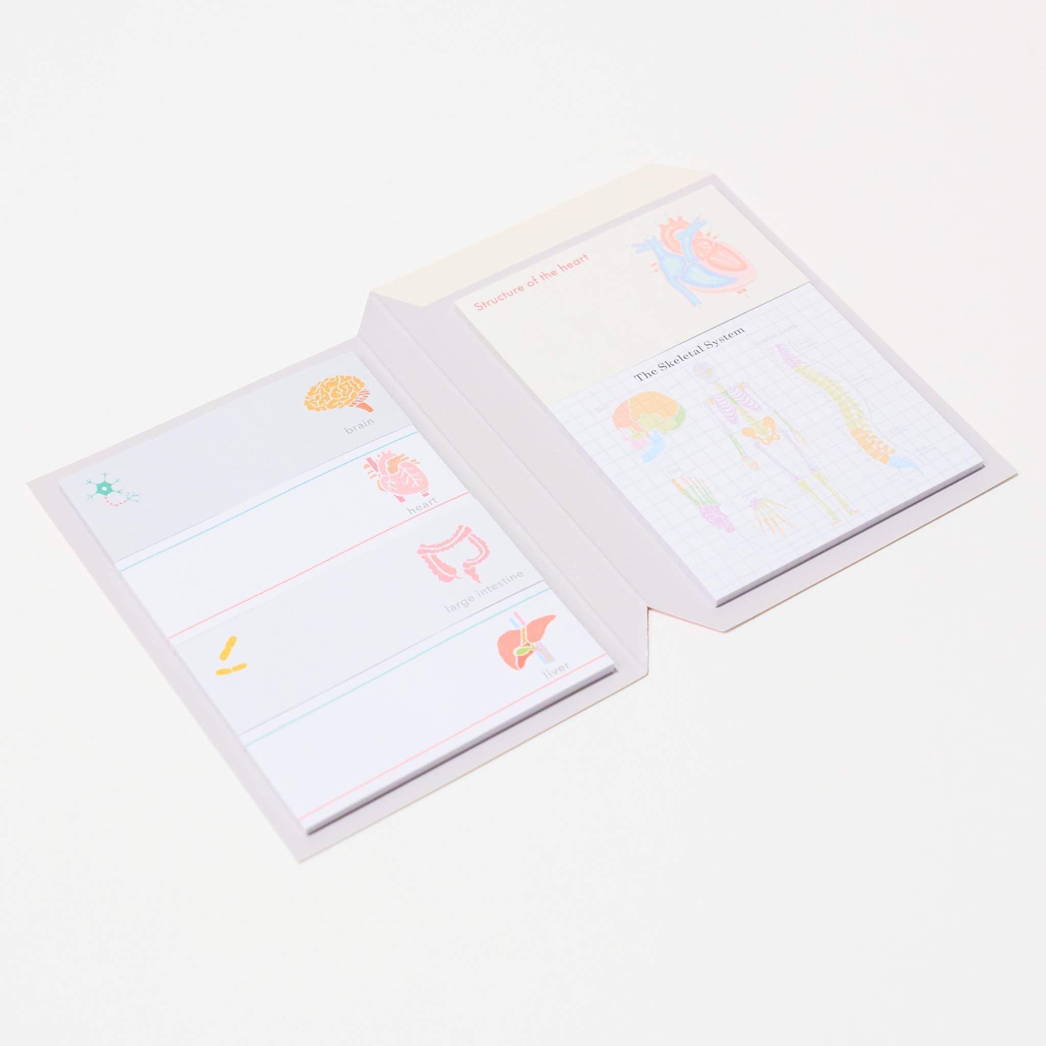 STUDY HOLIC Sticky Note Book / GreenFlash