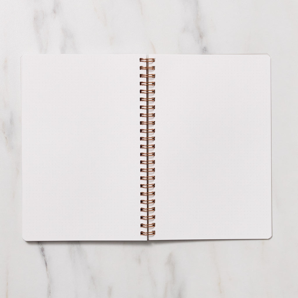 STUDY PLANNER DIARY A5 Ring Type Notebook / IROHA PUBLISHING