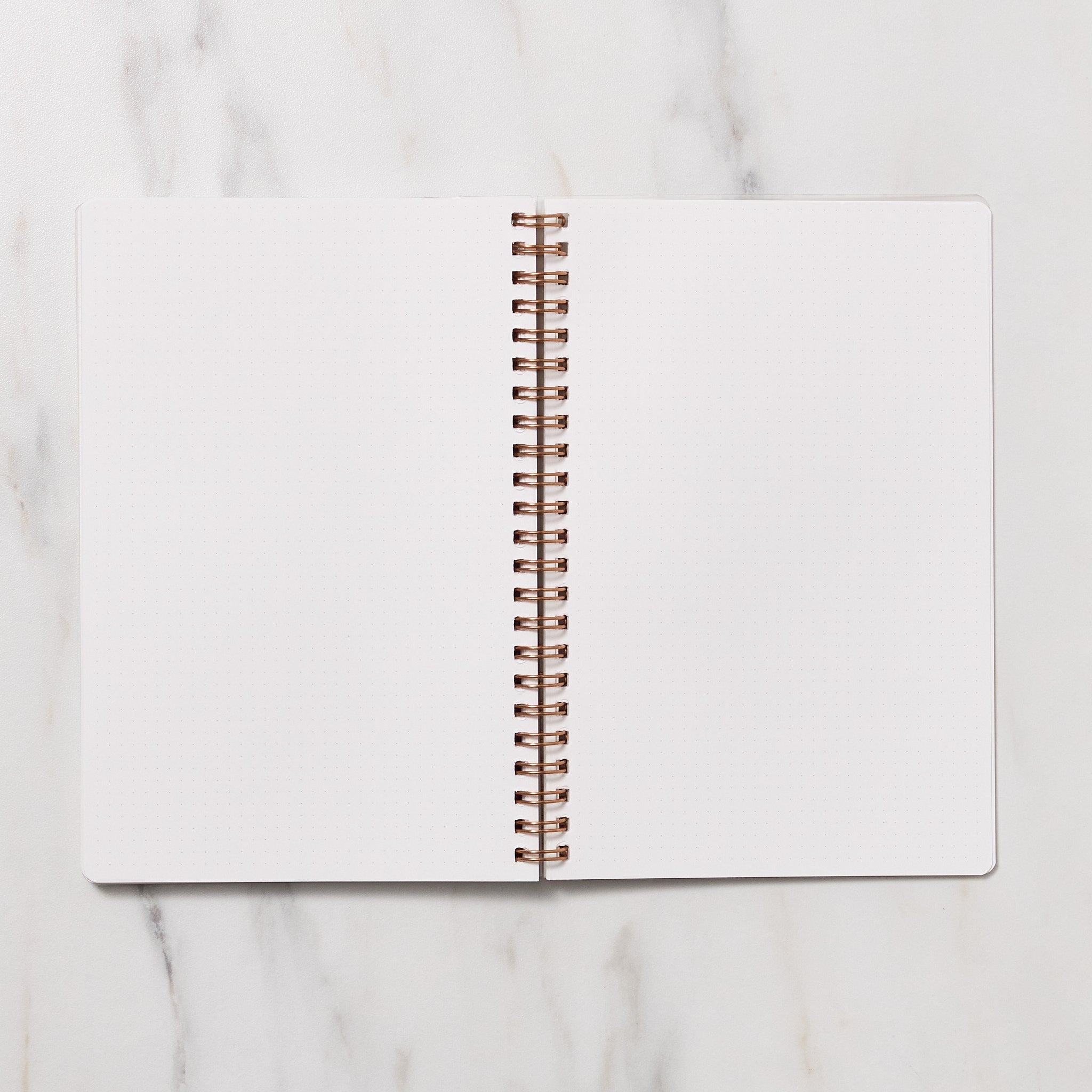 STUDY PLANNER DIARY A5 Ring Type Notebook / IROHA PUBLISHING