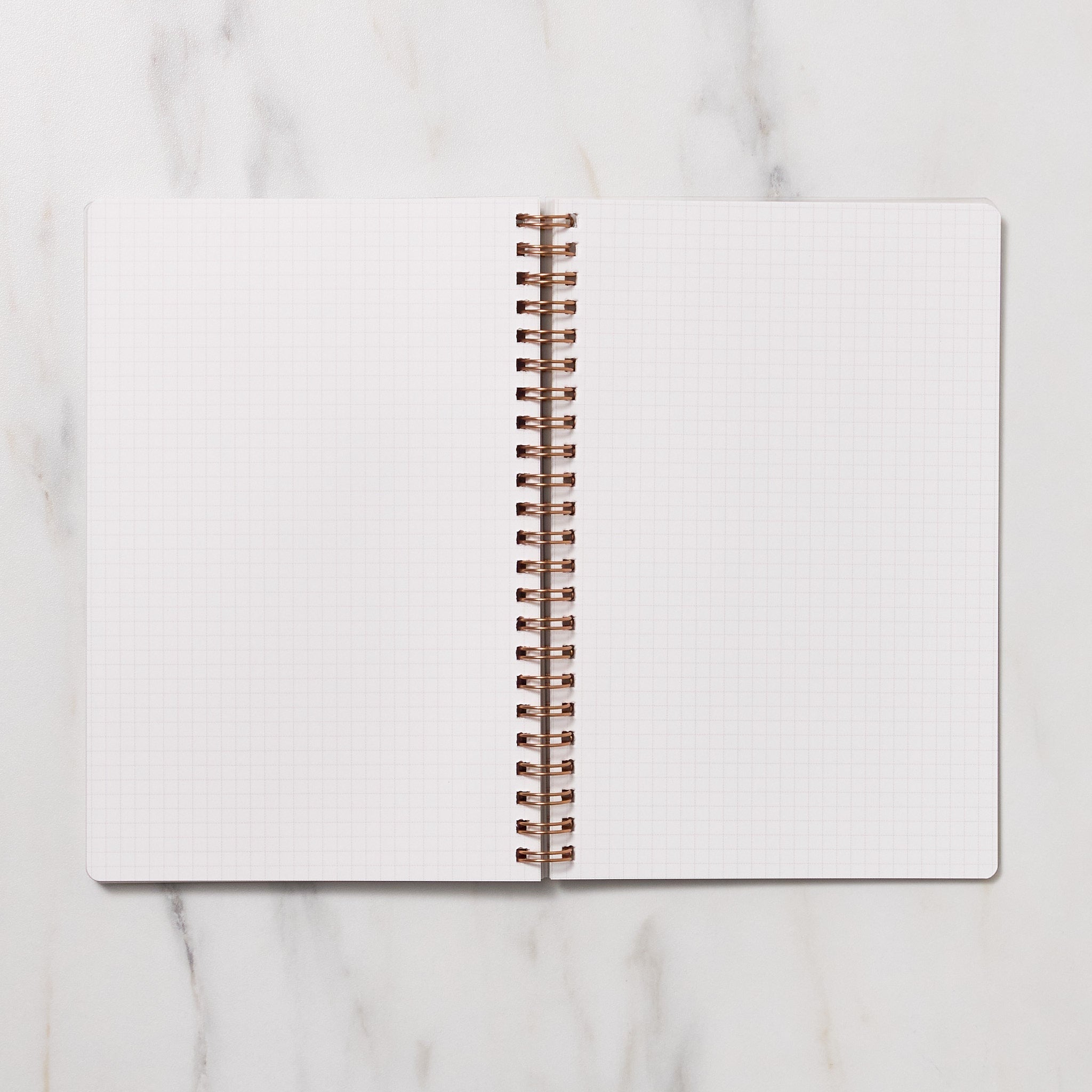 STUDY PLANNER DIARY A5 Ring Type Notebook / IROHA PUBLISHING