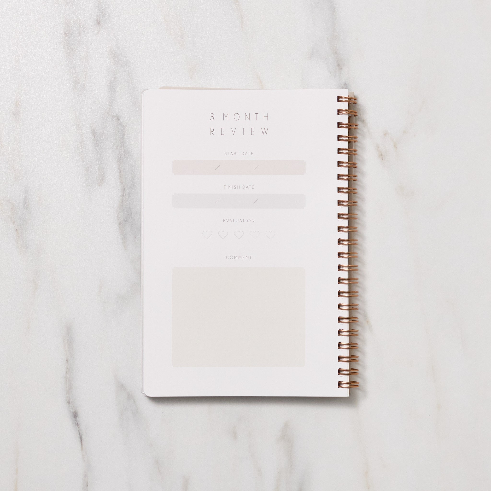 STUDY PLANNER DIARY A5 Ring Type Notebook / IROHA PUBLISHING