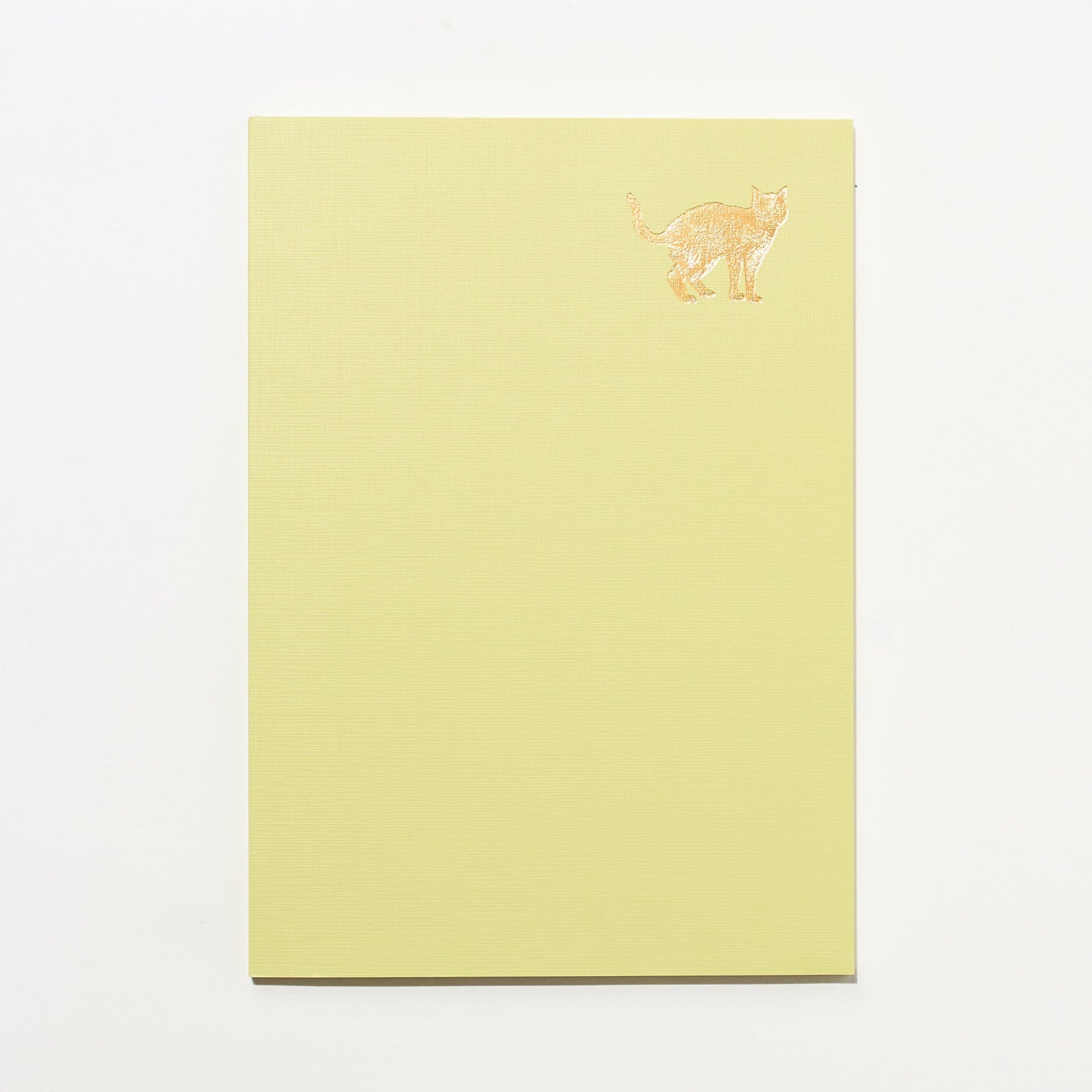 Time Choice Diary / MIDORI