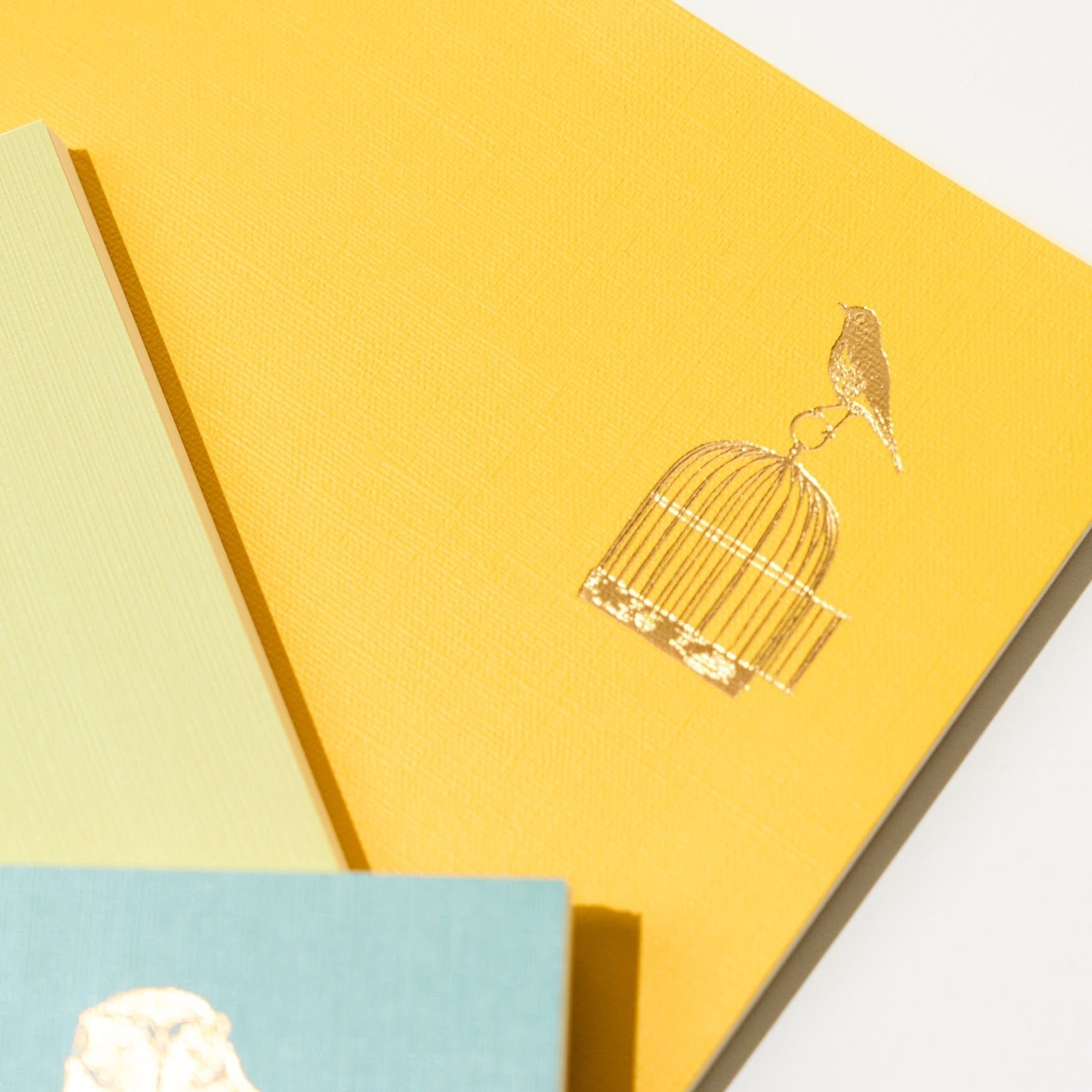 Time Choice Diary / MIDORI
