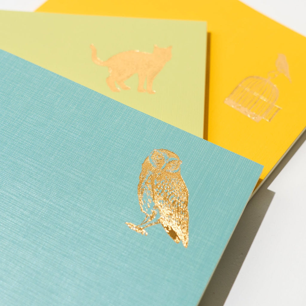 Time Choice Diary / MIDORI