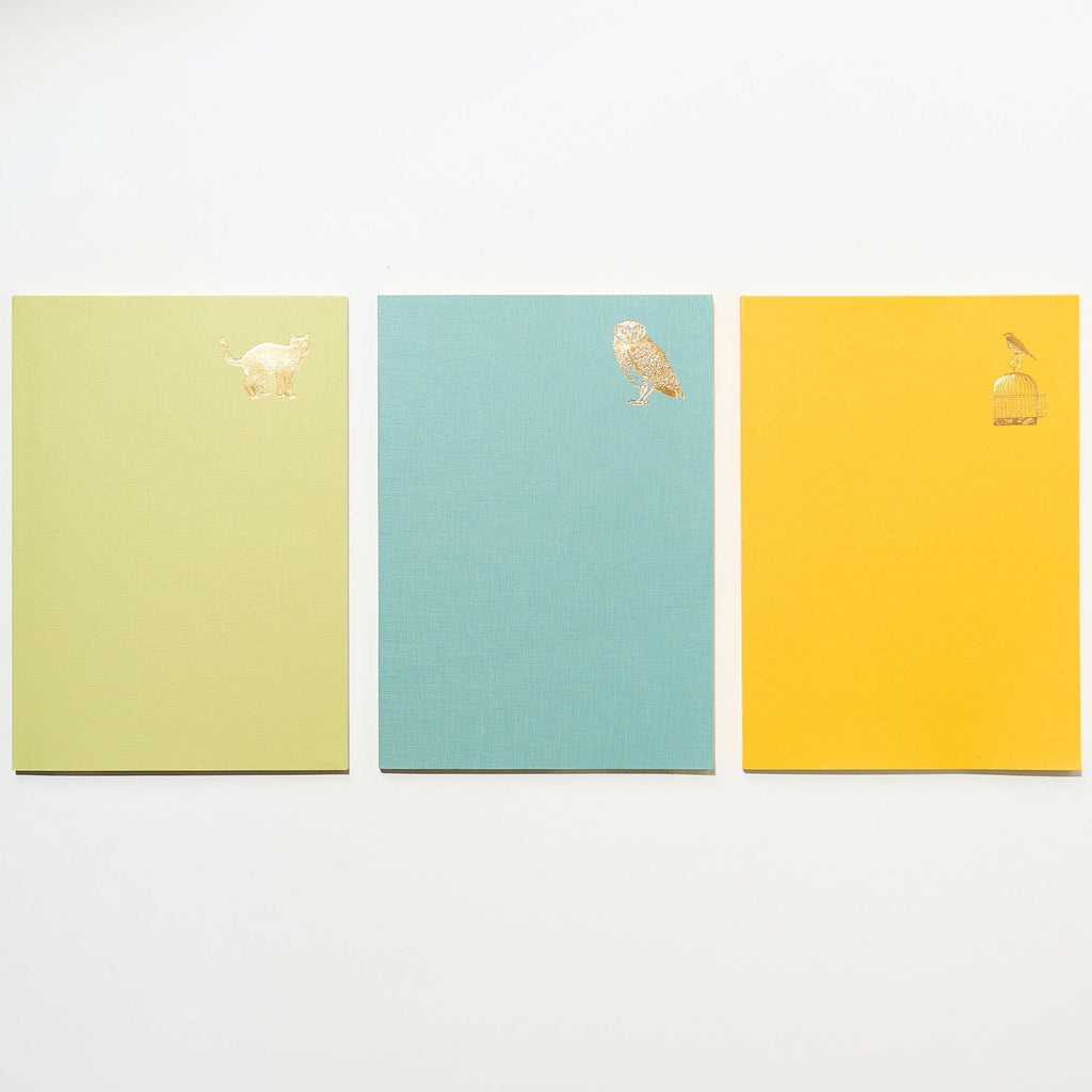Time Choice Diary / MIDORI