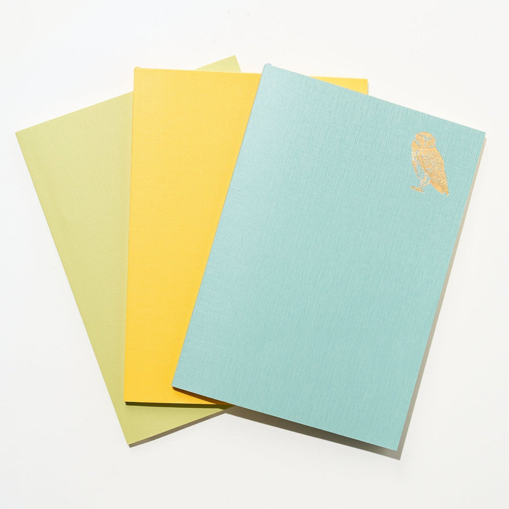 Time Choice Diary / MIDORI