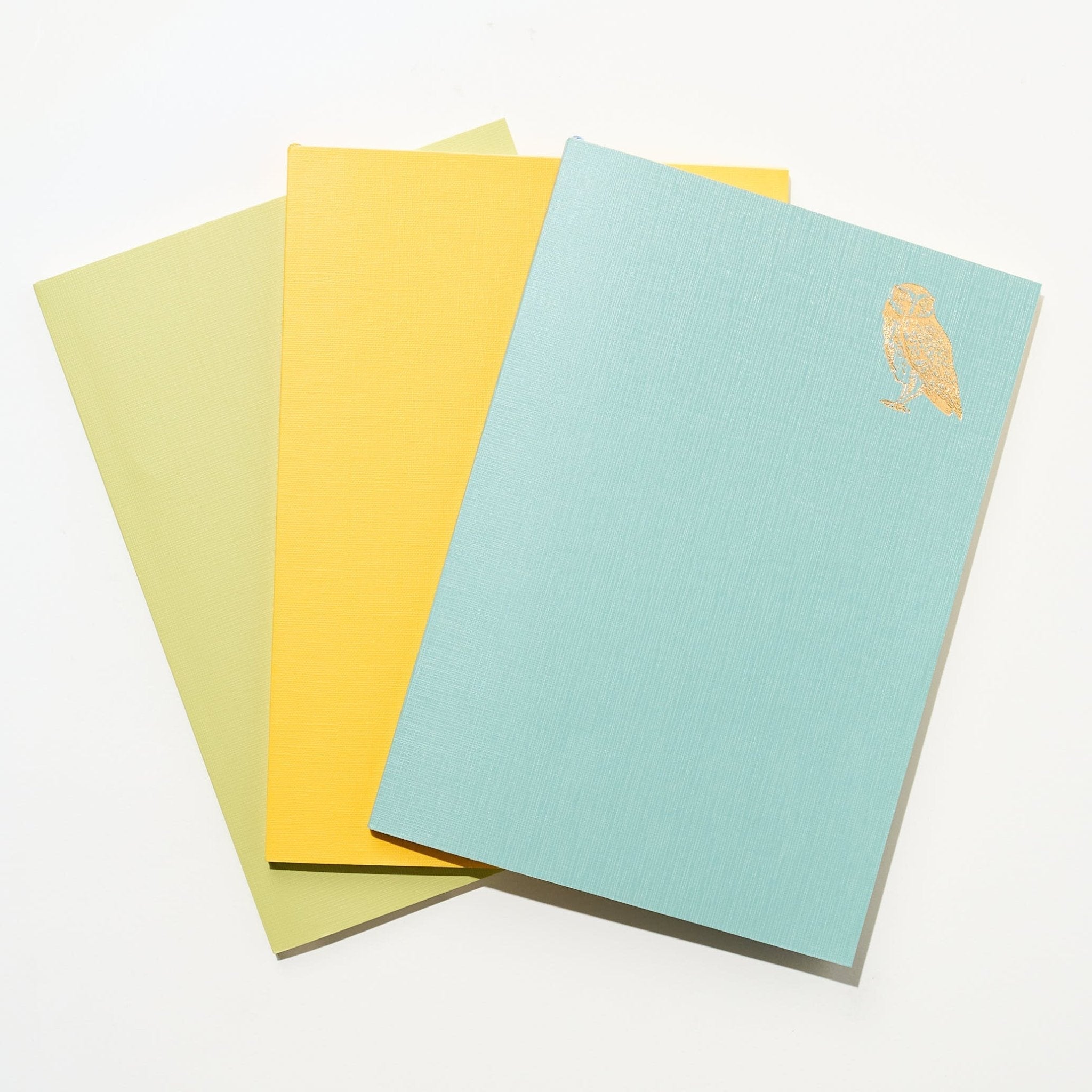 Time Choice Diary / MIDORI