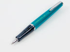 Pilot Timeline Gel