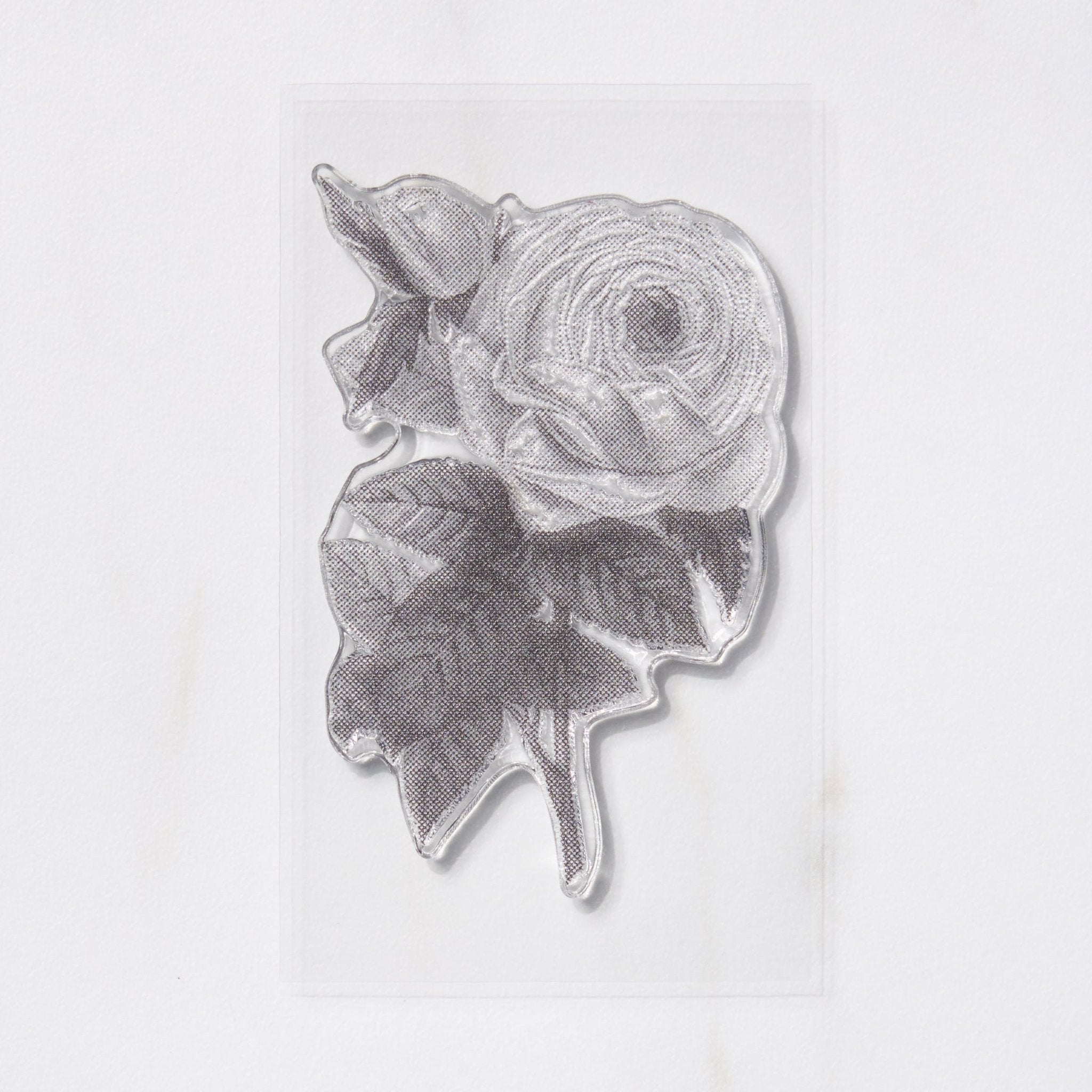 TO-MEI HAN Biology Stamps / tri-gram