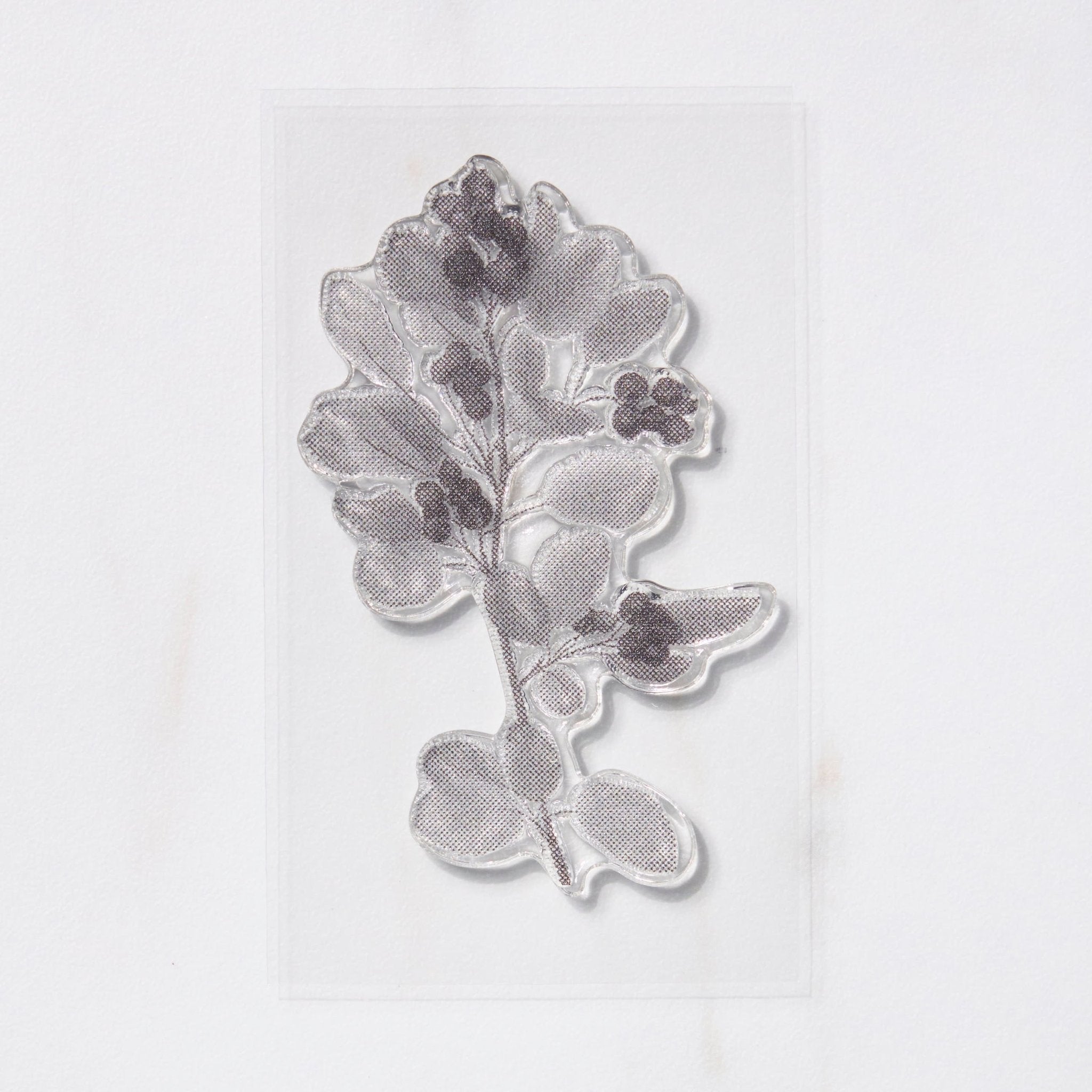 TO-MEI HAN Biology Stamps / tri-gram