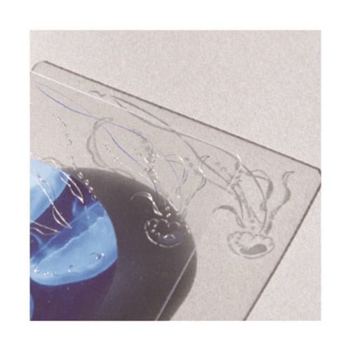 Transparent Card / RYU-RYU