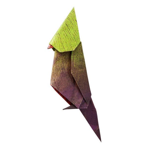 Tropical Bird Origami Sets / Marumo Printing