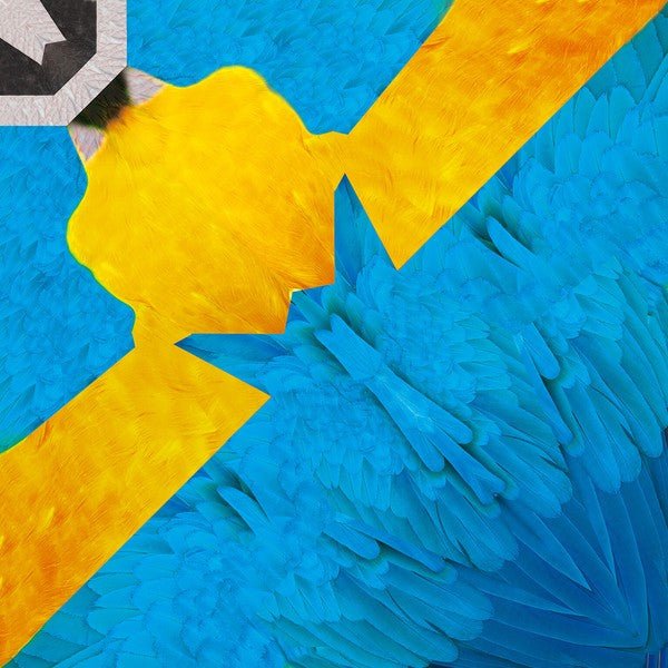 Tropical Bird Origami Sets / Marumo Printing
