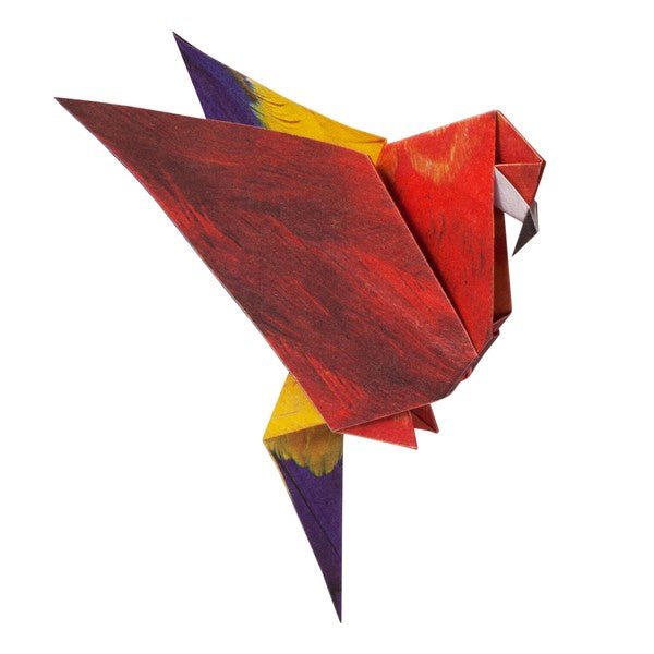 Tropical Bird Origami Sets / Marumo Printing
