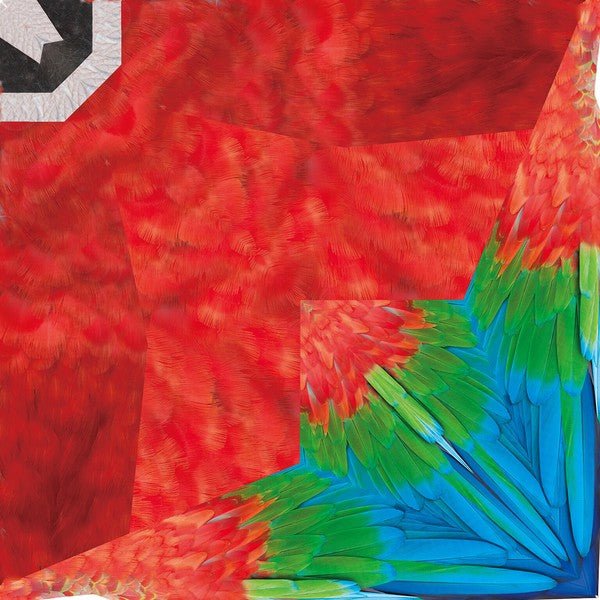 Tropical Bird Origami Sets / Marumo Printing