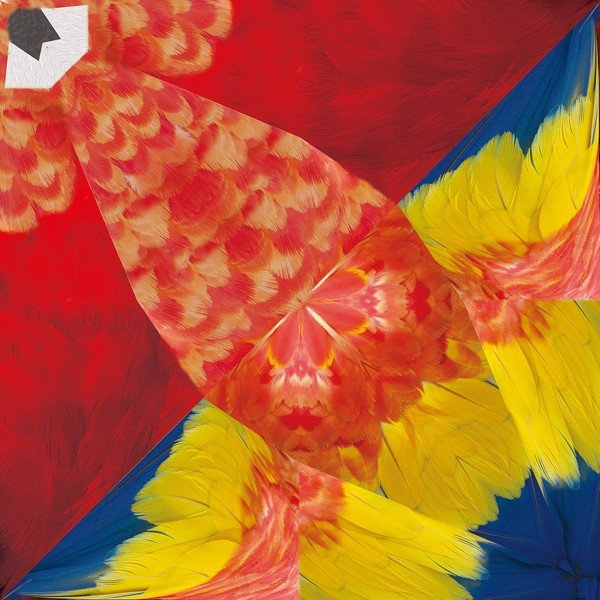 Tropical Bird Origami Sets / Marumo Printing