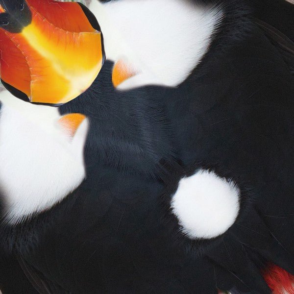 Tropical Bird Origami Sets / Marumo Printing