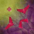 Tropical Bird Origami Sets / Marumo Printing
