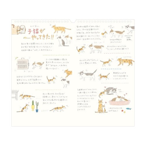 Wall Calendars 2026 / MIDORI