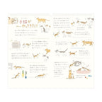 Wall Calendars 2026 / MIDORI
