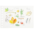 Write-Easy Creative Mini Loose Leaf / maruman