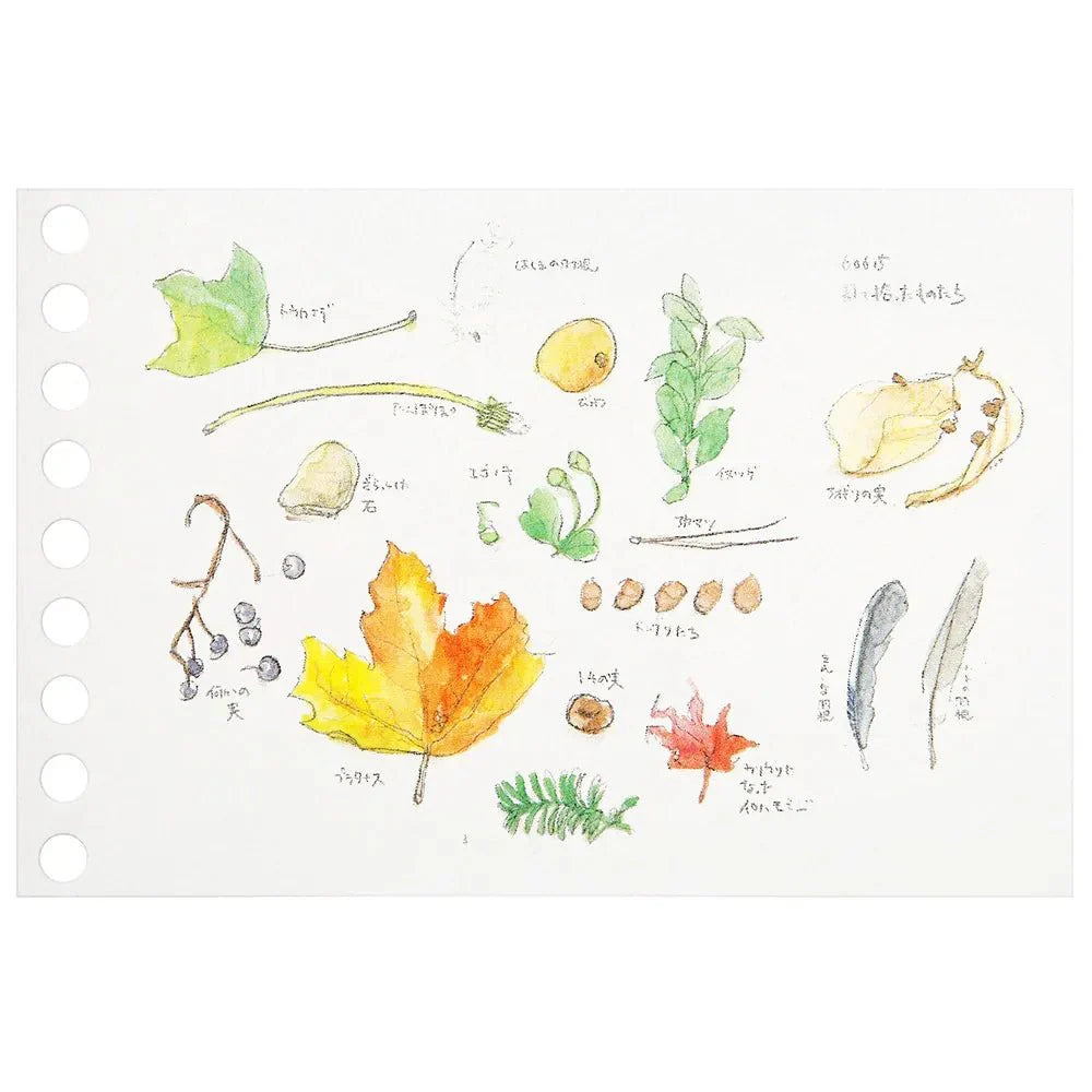 Write-Easy Creative Mini Loose Leaf / maruman