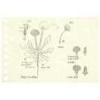 Write-Easy Creative Mini Loose Leaf / maruman