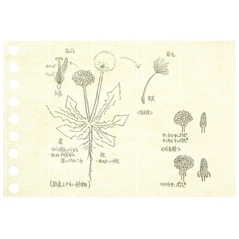 Write-Easy Creative Mini Loose Leaf / maruman